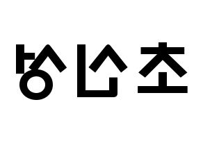 KPOP idol Supernova Printable Hangul fan sign & concert board resources Reversed