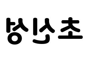 KPOP idol Supernova Printable Hangul fan sign & concert board resources Reversed
