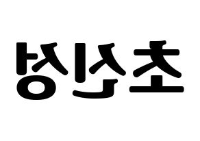 KPOP idol Supernova Printable Hangul fan sign, fanboard resources for light sticks Reversed