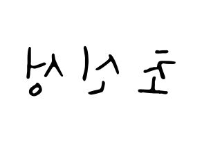 KPOP idol Supernova Printable Hangul fan sign, concert board resources for LED Reversed