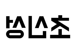 KPOP idol Supernova Printable Hangul Fansign concert board resources Reversed