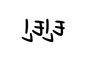 KPOP idol TEEN TEEN Printable Hangul fan sign, concert board resources for LED Reversed