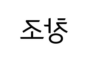 KPOP idol TEEN TOP  창조 (Choi Jong-hyun, Changjo) Printable Hangul name fan sign, fanboard resources for light sticks Reversed