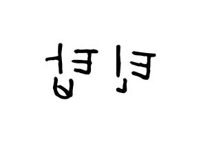 KPOP idol TEEN TOP Printable Hangul fan sign, concert board resources for light sticks Reversed