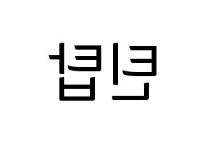 KPOP idol TEEN TOP Printable Hangul fan sign, fanboard resources for light sticks Reversed
