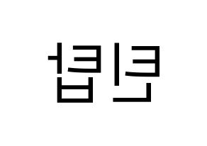 KPOP idol TEEN TOP Printable Hangul fan sign, fanboard resources for LED Reversed