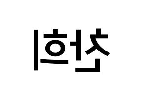 KPOP idol THE BOYZ  뉴 (Choi Chan-hee, New) Printable Hangul name Fansign Fanboard resources for concert Reversed