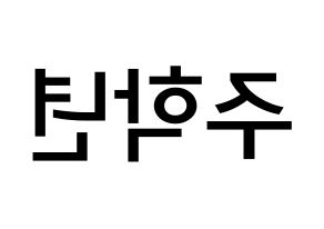 KPOP idol THE BOYZ  주학년 (Ju Hak-nyeon, Ju Haknyeon) Printable Hangul name Fansign Fanboard resources for concert Reversed