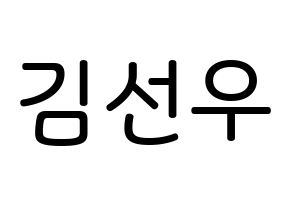 KPOP idol THE BOYZ  선우 (Kim Sun-woo, Sunwoo) Printable Hangul name Fansign Fanboard resources for concert Normal