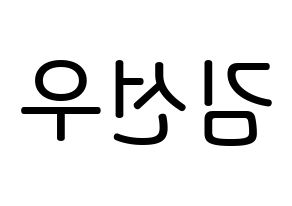 KPOP idol THE BOYZ  선우 (Kim Sun-woo, Sunwoo) Printable Hangul name Fansign Fanboard resources for concert Reversed