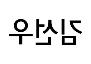 KPOP idol THE BOYZ  선우 (Kim Sun-woo, Sunwoo) Printable Hangul name Fansign Fanboard resources for concert Reversed