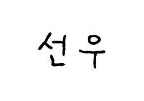 KPOP idol THE BOYZ  선우 (Kim Sun-woo, Sunwoo) Printable Hangul name fan sign, fanboard resources for concert Normal