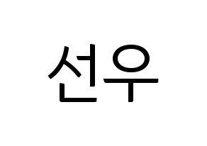 KPOP idol THE BOYZ  선우 (Kim Sun-woo, Sunwoo) Printable Hangul name fan sign, fanboard resources for light sticks Normal