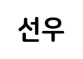 KPOP idol THE BOYZ  선우 (Kim Sun-woo, Sunwoo) Printable Hangul name fan sign, fanboard resources for concert Normal