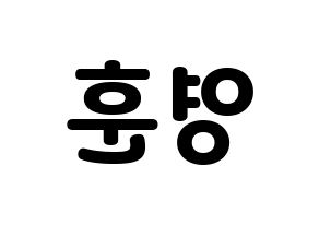 KPOP idol THE BOYZ  영훈 (Kim Young-hoon, Younghoon) Printable Hangul name fan sign & fan board resources Reversed