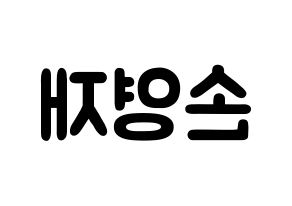 KPOP idol THE BOYZ  에릭 (Son Young-wae, Eric) Printable Hangul name fan sign & fan board resources Reversed