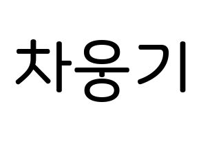 KPOP idol TOO  웅기 (Cha Woong-gi, Woonggi) Printable Hangul name Fansign Fanboard resources for concert Normal