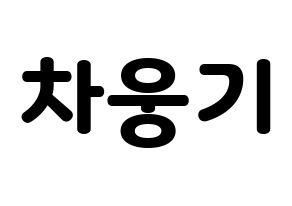 KPOP idol TOO  웅기 (Cha Woong-gi, Woonggi) Printable Hangul name fan sign & fan board resources Normal