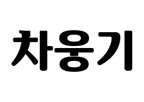 KPOP idol TOO  웅기 (Cha Woong-gi, Woonggi) Printable Hangul name fan sign, fanboard resources for light sticks Normal