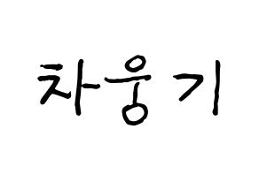 KPOP idol TOO  웅기 (Cha Woong-gi, Woonggi) Printable Hangul name fan sign, fanboard resources for concert Normal
