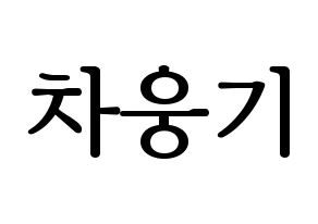 KPOP idol TOO  웅기 (Cha Woong-gi, Woonggi) Printable Hangul name fan sign, fanboard resources for LED Normal