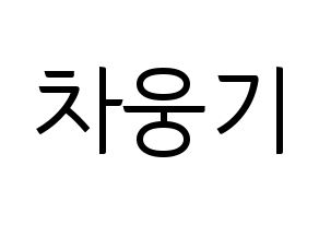 KPOP idol TOO  웅기 (Cha Woong-gi, Woonggi) Printable Hangul name fan sign, fanboard resources for light sticks Normal