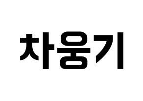 KPOP idol TOO  웅기 (Cha Woong-gi, Woonggi) Printable Hangul name fan sign, fanboard resources for concert Normal