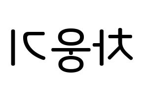 KPOP idol TOO  웅기 (Cha Woong-gi, Woonggi) Printable Hangul name Fansign Fanboard resources for concert Reversed