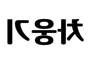 KPOP idol TOO  웅기 (Cha Woong-gi, Woonggi) Printable Hangul name fan sign, fanboard resources for light sticks Reversed