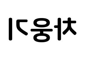 KPOP idol TOO  웅기 (Cha Woong-gi, Woonggi) Printable Hangul name fan sign, fanboard resources for concert Reversed