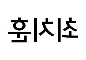 KPOP idol TOO  치훈 (Choi Chi-hoon, Chihoon) Printable Hangul name Fansign Fanboard resources for concert Reversed
