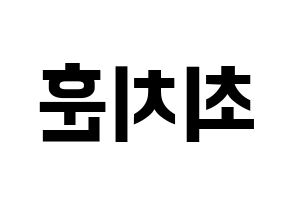 KPOP idol TOO  치훈 (Choi Chi-hoon, Chihoon) Printable Hangul name fan sign, fanboard resources for concert Reversed