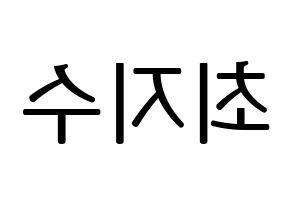 KPOP idol TOO  지수 (Choi Ji-su, Jisu) Printable Hangul name fan sign, fanboard resources for LED Reversed