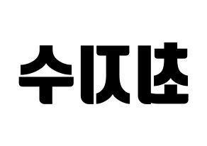 KPOP idol TOO  지수 (Choi Ji-su, Jisu) Printable Hangul name fan sign, fanboard resources for light sticks Reversed
