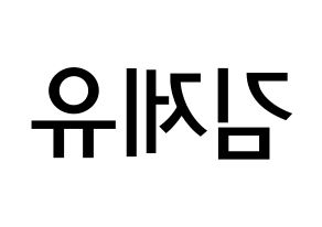 KPOP idol TOO  제이유 (Kim Je-you, J.You) Printable Hangul name Fansign Fanboard resources for concert Reversed
