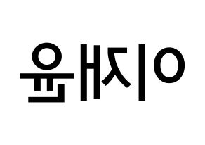 KPOP idol TOO  재윤 (Lee Jae-yun, Jaeyun) Printable Hangul name Fansign Fanboard resources for concert Reversed