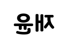 KPOP idol TOO  재윤 (Lee Jae-yun, Jaeyun) Printable Hangul name fan sign & fan board resources Reversed