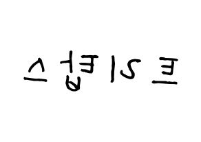 KPOP idol TRITOPS Printable Hangul fan sign, concert board resources for light sticks Reversed