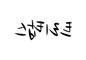 KPOP idol TRITOPS Printable Hangul fan sign, concert board resources for light sticks Reversed