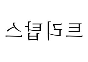 KPOP idol TRITOPS Printable Hangul fan sign & concert board resources Reversed