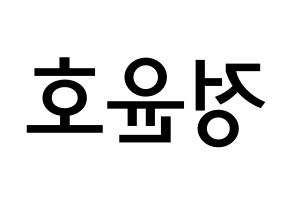 KPOP idol TVXQ  유노윤호 (Jung Yun-ho, U-Know Yunho) Printable Hangul name Fansign Fanboard resources for concert Reversed