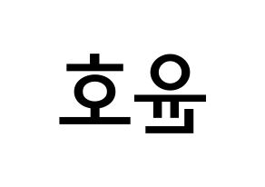 KPOP idol TVXQ  유노윤호 (Jung Yun-ho, U-Know Yunho) Printable Hangul name Fansign Fanboard resources for concert Reversed