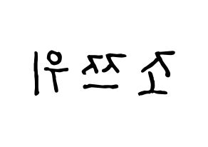 KPOP idol Twice  쯔위 (Chou Tzu-yu, Tzuyu) Printable Hangul name fan sign, fanboard resources for concert Reversed