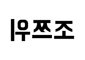 KPOP idol Twice  쯔위 (Chou Tzu-yu, Tzuyu) Printable Hangul name fan sign, fanboard resources for concert Reversed