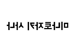KPOP idol Twice  사나 (Minatozaki Sana, Sana) Printable Hangul name fan sign, fanboard resources for concert Reversed