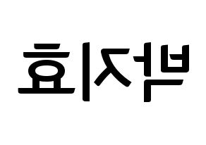 KPOP idol Twice  지효 (Park Ji-Hyo, Jihyo) Printable Hangul name fan sign, fanboard resources for concert Reversed