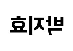 KPOP idol Twice  지효 (Park Ji-Hyo, Jihyo) Printable Hangul name fan sign, fanboard resources for concert Reversed