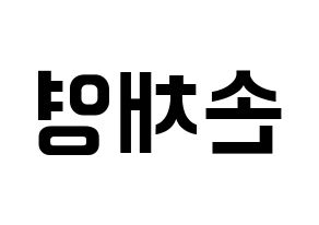 KPOP idol Twice  채영 (Son Chae-Young, Chaeyoung) Printable Hangul name fan sign, fanboard resources for concert Reversed