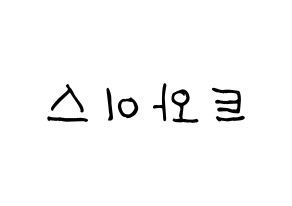 KPOP idol Twice Printable Hangul Fansign concert board resources Reversed