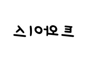 KPOP idol Twice Printable Hangul Fansign concert board resources Reversed
